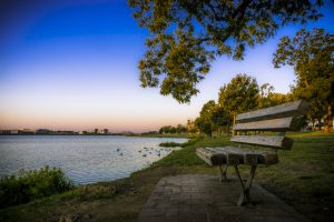 a bench is sitting on a grassy area next to a body of water at The Dahlia